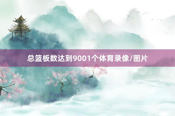 总篮板数达到9001个体育录像/图片