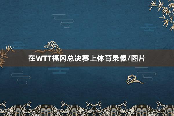 在WTT福冈总决赛上体育录像/图片
