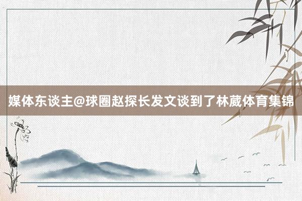 媒体东谈主@球圈赵探长发文谈到了林葳体育集锦