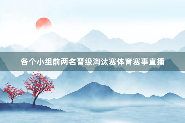 各个小组前两名晋级淘汰赛体育赛事直播