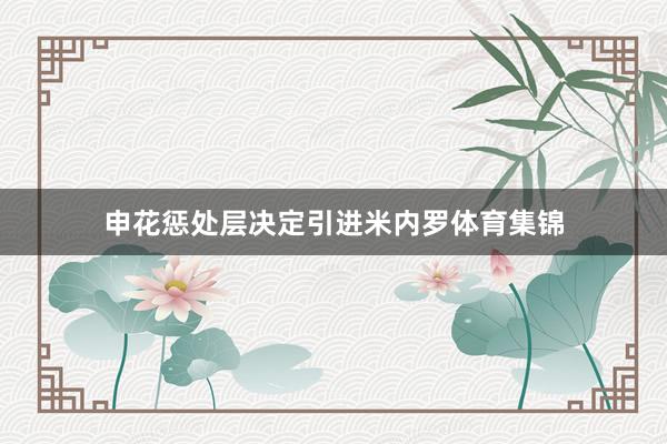 申花惩处层决定引进米内罗体育集锦
