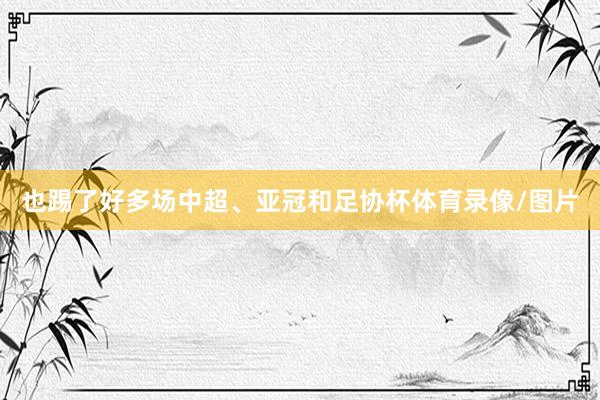 也踢了好多场中超、亚冠和足协杯体育录像/图片