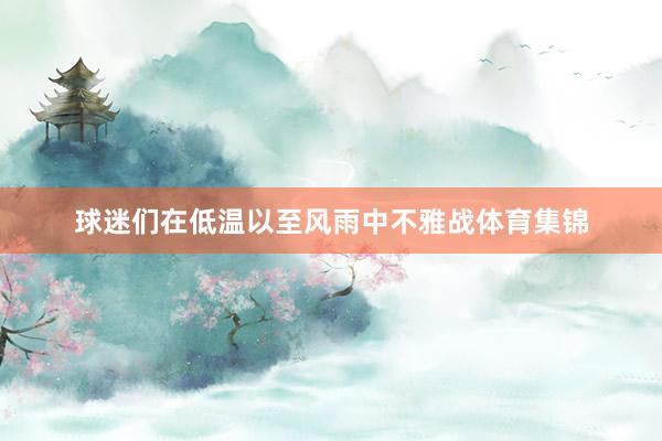 球迷们在低温以至风雨中不雅战体育集锦