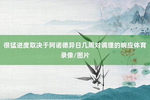 很猛进度取决于阿诺德异日几周对调理的响应体育录像/图片