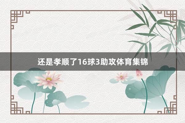 还是孝顺了16球3助攻体育集锦