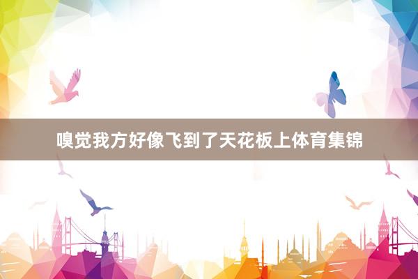 嗅觉我方好像飞到了天花板上体育集锦