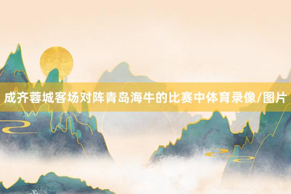 成齐蓉城客场对阵青岛海牛的比赛中体育录像/图片