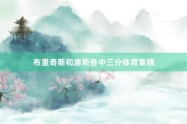 布里奇斯和唐斯各中三分体育集锦