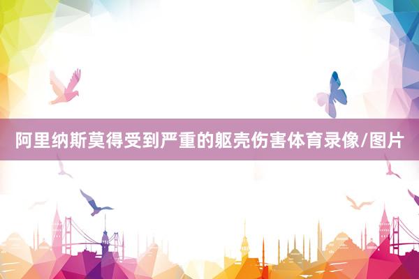 阿里纳斯莫得受到严重的躯壳伤害体育录像/图片