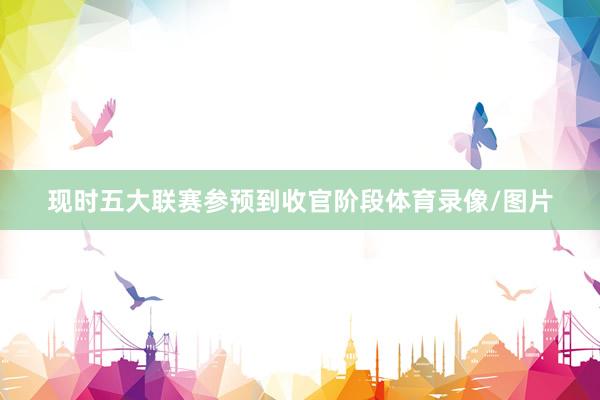 现时五大联赛参预到收官阶段体育录像/图片
