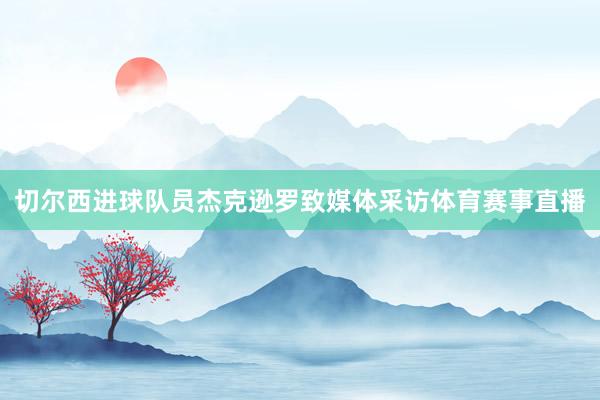 切尔西进球队员杰克逊罗致媒体采访体育赛事直播