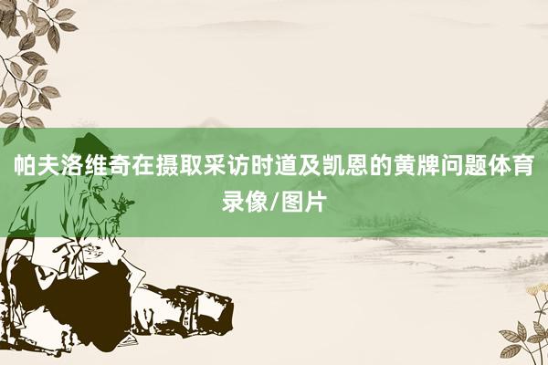 帕夫洛维奇在摄取采访时道及凯恩的黄牌问题体育录像/图片