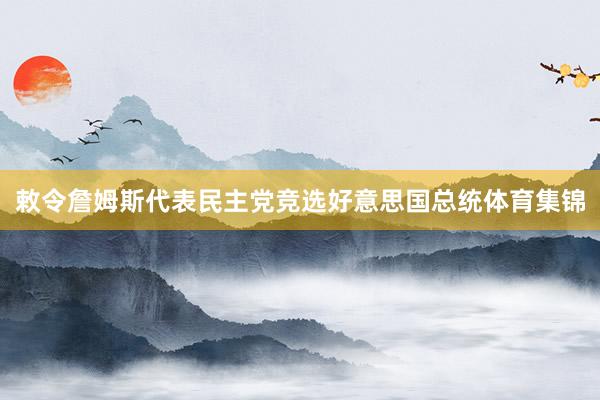敕令詹姆斯代表民主党竞选好意思国总统体育集锦