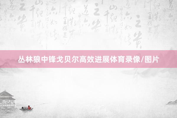 丛林狼中锋戈贝尔高效进展体育录像/图片