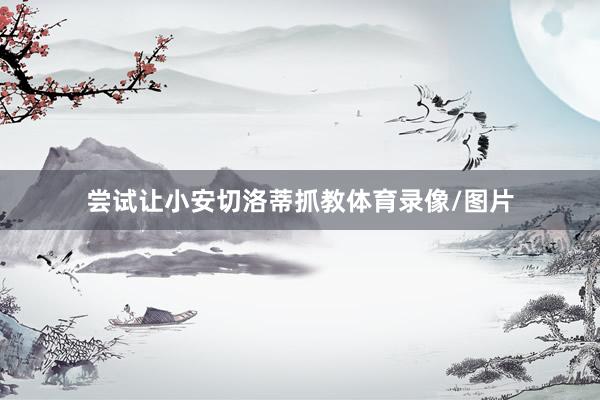 尝试让小安切洛蒂抓教体育录像/图片