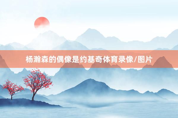杨瀚森的偶像是约基奇体育录像/图片