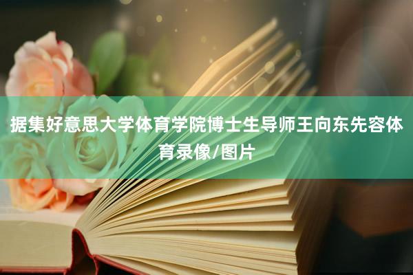 据集好意思大学体育学院博士生导师王向东先容体育录像/图片