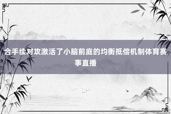 合手续对攻激活了小脑前庭的均衡抵偿机制体育赛事直播