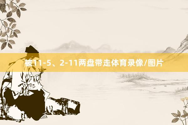 被11-5、2-11两盘带走体育录像/图片