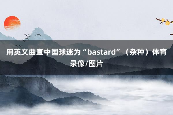 用英文曲直中国球迷为“bastard”（杂种）体育录像/图片