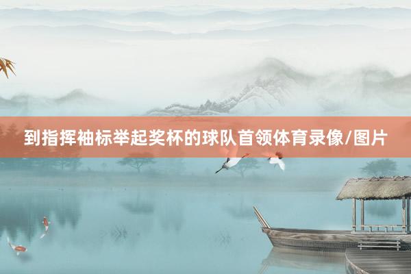 到指挥袖标举起奖杯的球队首领体育录像/图片