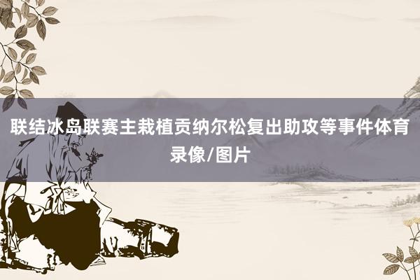 联结冰岛联赛主栽植贡纳尔松复出助攻等事件体育录像/图片