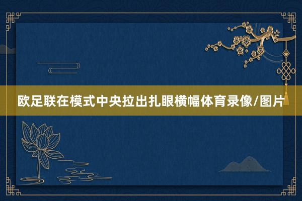 欧足联在模式中央拉出扎眼横幅体育录像/图片