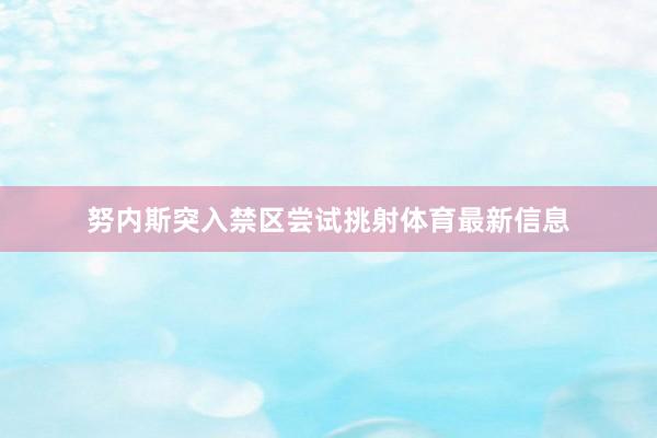 努内斯突入禁区尝试挑射体育最新信息