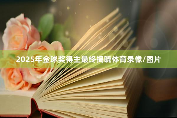 2025年金球奖得主最终揭晓体育录像/图片