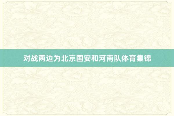 对战两边为北京国安和河南队体育集锦
