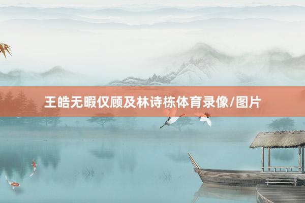 王皓无暇仅顾及林诗栋体育录像/图片