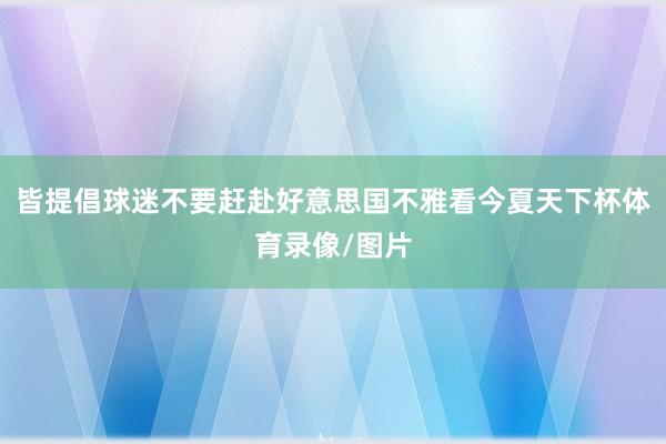 皆提倡球迷不要赶赴好意思国不雅看今夏天下杯体育录像/图片