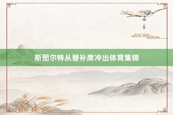 斯图尔特从替补席冲出体育集锦