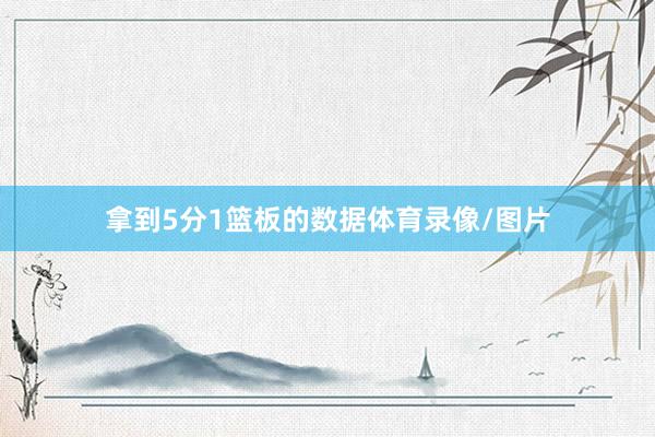 拿到5分1篮板的数据体育录像/图片