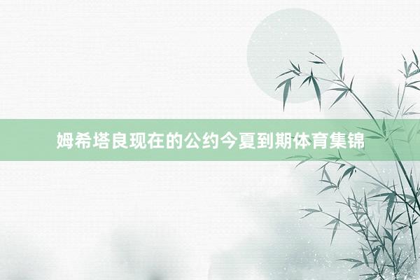 姆希塔良现在的公约今夏到期体育集锦