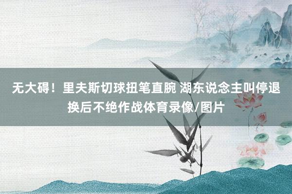 无大碍！里夫斯切球扭笔直腕 湖东说念主叫停退换后不绝作战体育录像/图片