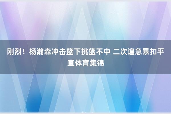 刚烈！杨瀚森冲击篮下挑篮不中 二次遑急暴扣平直体育集锦