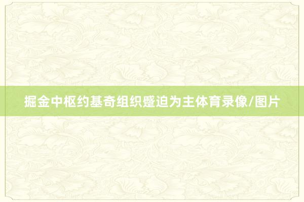 掘金中枢约基奇组织蹙迫为主体育录像/图片