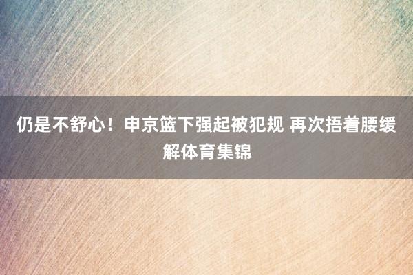 仍是不舒心！申京篮下强起被犯规 再次捂着腰缓解体育集锦