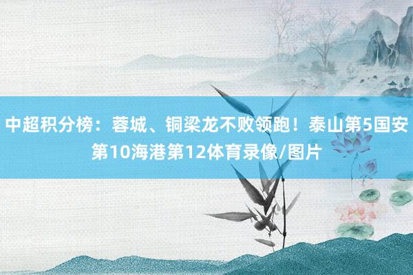 中超积分榜：蓉城、铜梁龙不败领跑！泰山第5国安第10海港第1