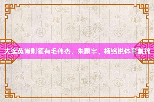 大连英博则领有毛伟杰、朱鹏宇、杨铭锐体育集锦