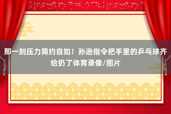 那一刻压力简约自如！孙逊指令把手里的乒乓球齐给扔了体育录像/图片