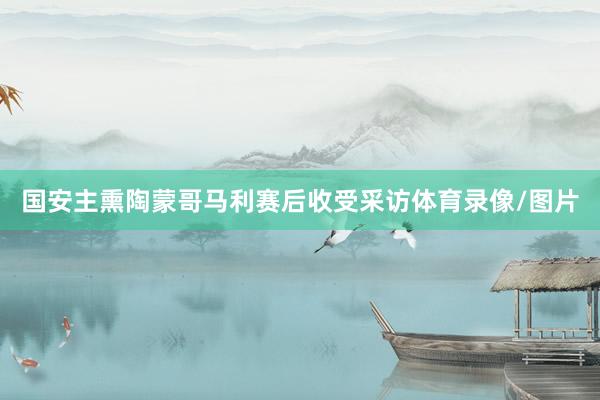 国安主熏陶蒙哥马利赛后收受采访体育录像/图片