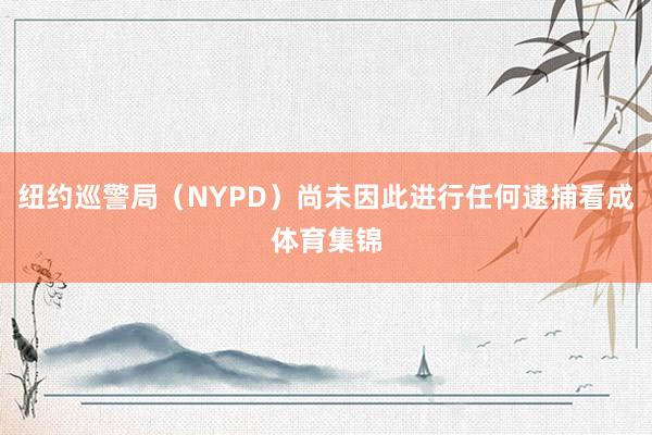 纽约巡警局（NYPD）尚未因此进行任何逮捕看成体育集锦