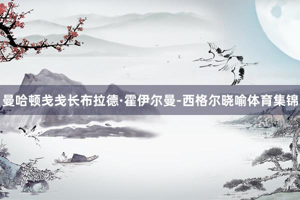 曼哈顿戋戋长布拉德·霍伊尔曼-西格尔晓喻体育集锦